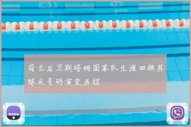 荷兰后卫斯塔姆国家队生涯回顾其球衣号码演变历程